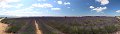 thn_IMG_9530 (2)_panorama.jpg